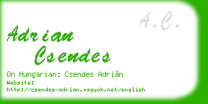 adrian csendes business card