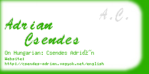 adrian csendes business card